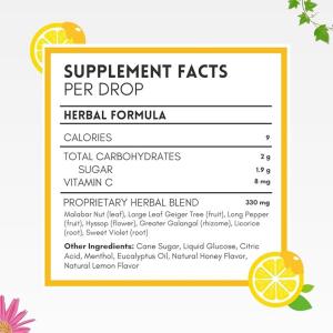 Herbion Naturals Sugar Free Honey Lemon Cough Drops, 1 Each