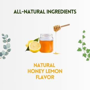 Herbion Naturals Sugar Free Honey Lemon Cough Drops, 1 Each