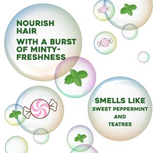 OGX Hydrating Tea Tree Mint Conditioner 385 Ml