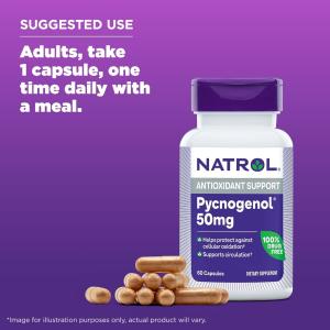 Natrol Pycnogenol, 50 Mg, 60 Capsules