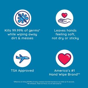 Wet Ones Antibacterial Hand Wipes Canister - Fresh Scent Pack