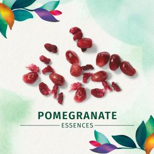 Herbal Essences Shampoo, Damage Repair, Long Term Relationship