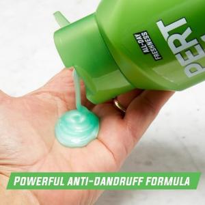 Pert Shampoo & Conditioner, Anti Dandruff, Classic Clean, 2 In 1 13.5 Fl Oz
