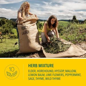 Ricola Oral Anesthetic, Sugar Free, Lemon Mint, Drops