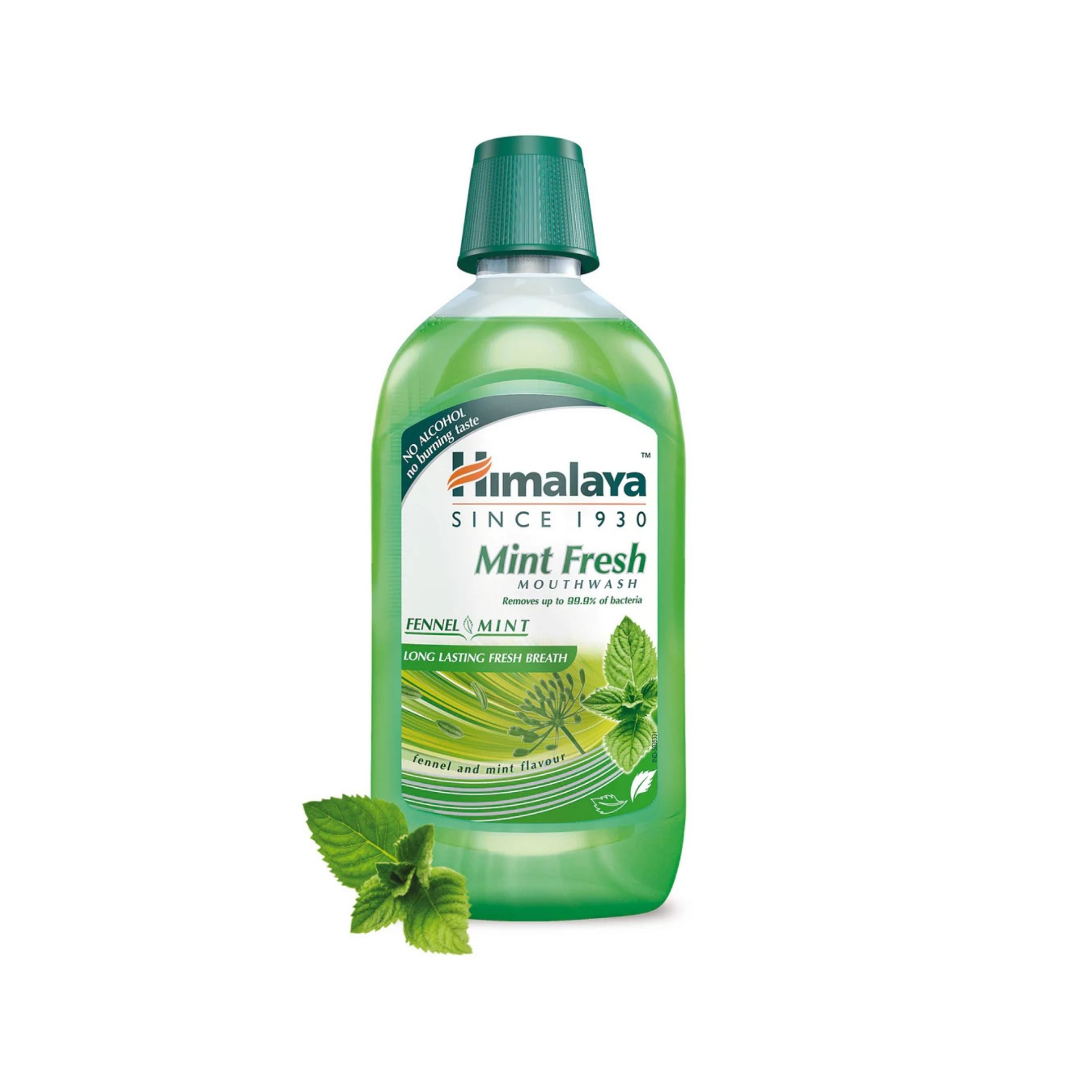 Hm Mouthwash Spr Mint