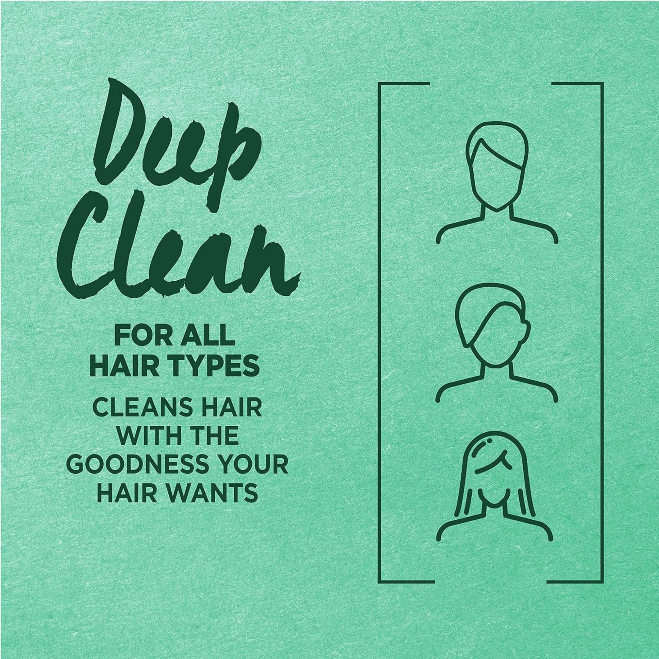 Fructis Garnier Pure Clean Hydrating Conditioner With Aloe Extract 12 Fl Oz