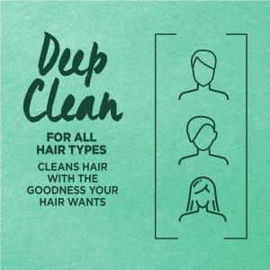 Fructis Garnier Pure Clean Hydrating Conditioner With Aloe Extract 12 Fl Oz