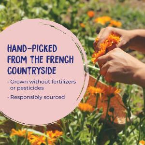 Boiron Calendula First Aid Cream, Homeopathic Medicine - 2.5 Oz