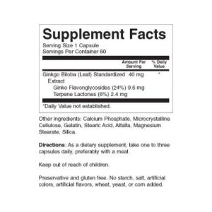 Nature's Blend Ginkgo Biloba 40 Mg Capsules