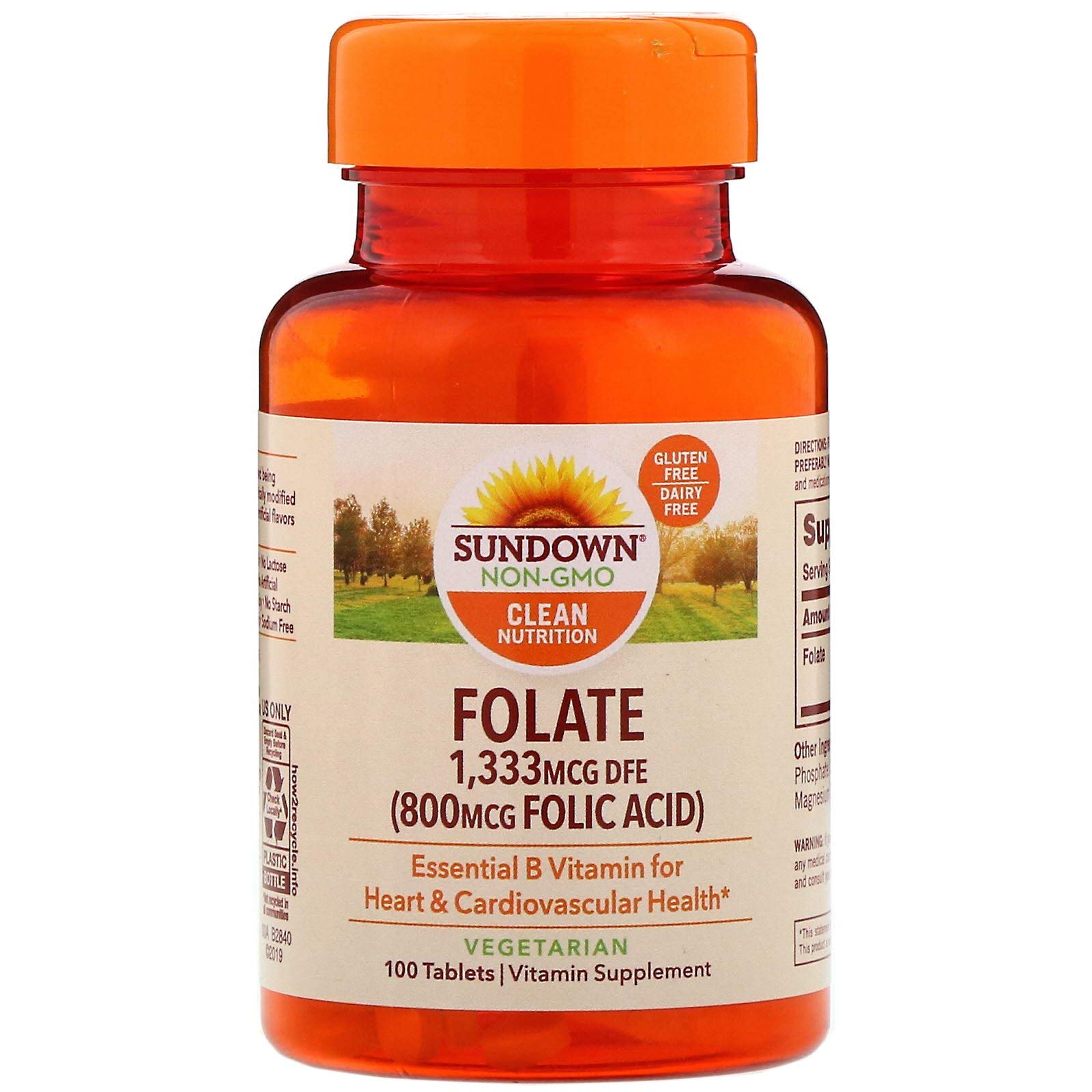 Sundown Naturals Folic Acid 400 Mcg With Vitamin B Supplement Tablets 250