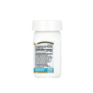 21st Century Iron Slow Release Formula Tab