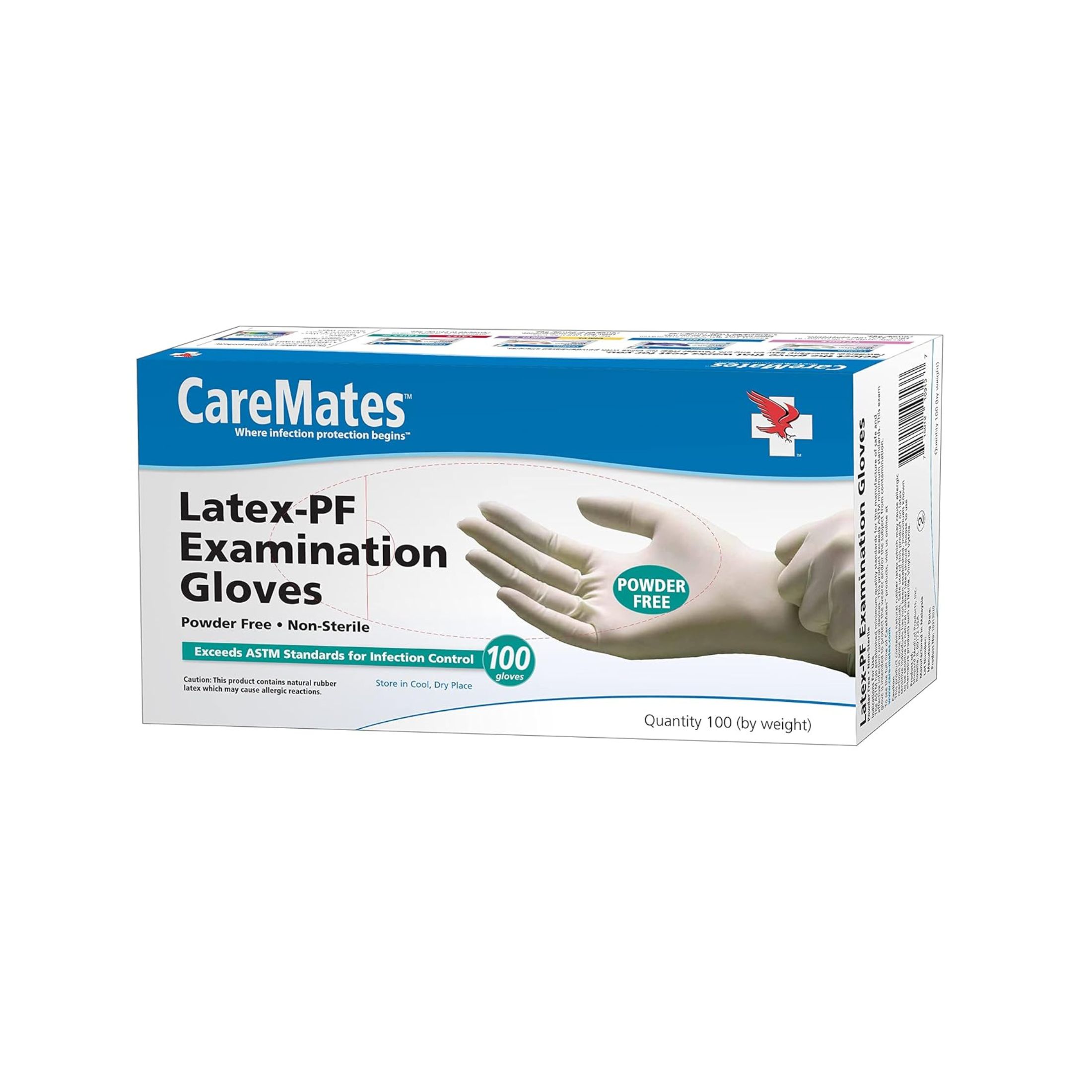 CareMates Vinyl Powder Free Examination Gloves Large