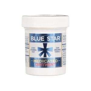 Blue Star Anti Itch Ointment, Medicated 2 Oz