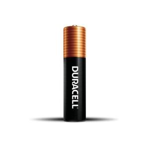 Duracell Coppertop AAA Alkaline Batteries