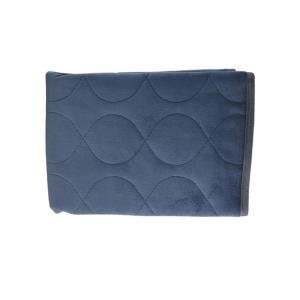 Essential Medical Supply Quik Sorb 20in X 20in Furniture Protector Pad - Blue