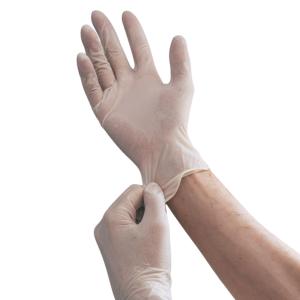 Shamrock 20213 Powder Free Clear Vinyl Large Examination Gloves