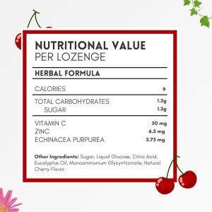 Herbion Naturals Zinc, Echinacea & Vitamin C Lozenges With Natural Cherry Flavor